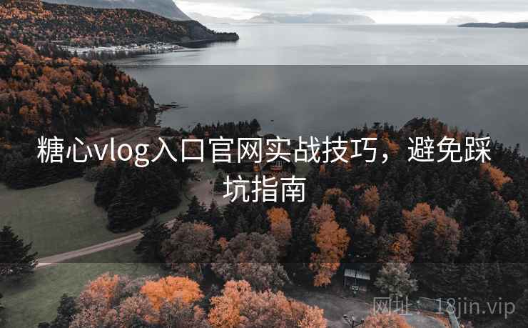 糖心vlog入口官网实战技巧，避免踩坑指南