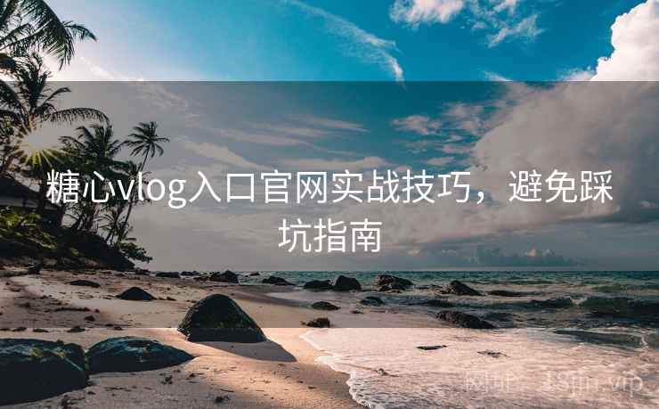 糖心vlog入口官网实战技巧，避免踩坑指南