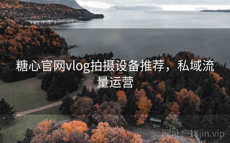 糖心官网vlog拍摄设备推荐，私域流量运营