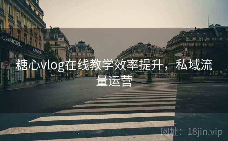糖心vlog在线教学效率提升，私域流量运营