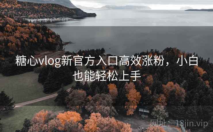 糖心vlog新官方入口高效涨粉，小白也能轻松上手
